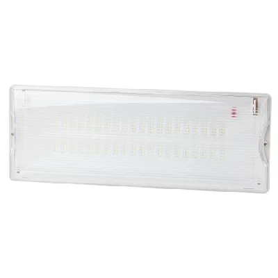 Светильник светодиодный DPA-301-0-65 IP65 40LED 3ч аварийный непостоянный Проектный Эра Б0044405