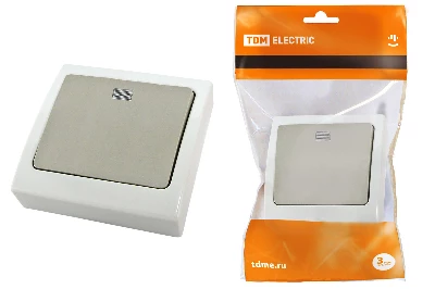 Выключатель 1-кл. с подсветкой скрытой установки IP54 10А серый "Вуокса" TDM