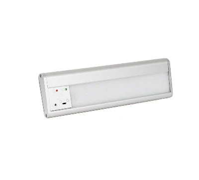 Светильник аварийный SKAT LT-2330 LED Бастион 2450