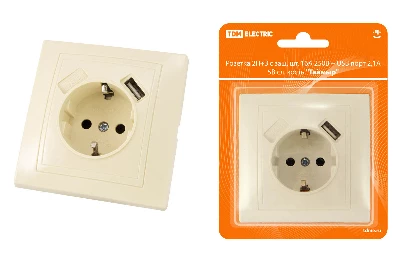 Розетка 2П+З с защ. шт. 16А 250В + USB порт 2.1А 5В сл. кость "Таймыр" TDM