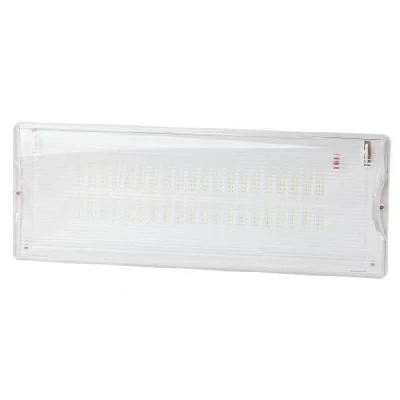 Светильник светодиодный DPA-301-1-65 IP65 40LED 3ч аварийный постоянный Эра Б0051843